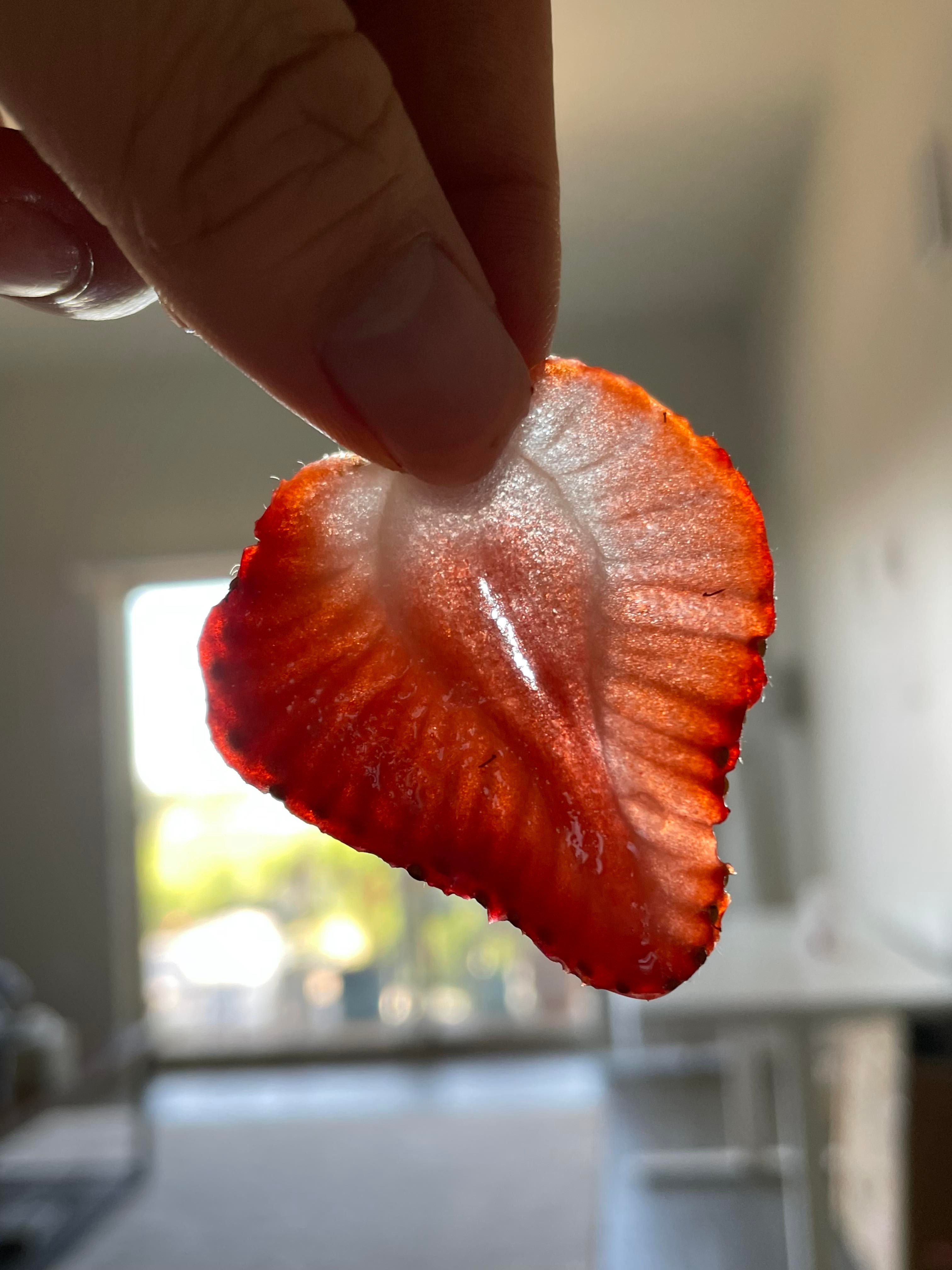 strawberry sliced very thinly so light shines through